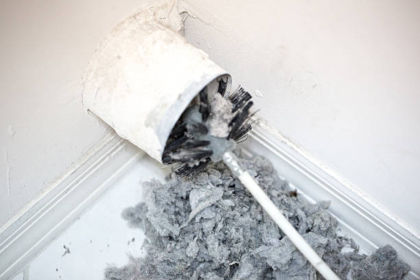 Best Professional Duct Cleaning Services  in , LA